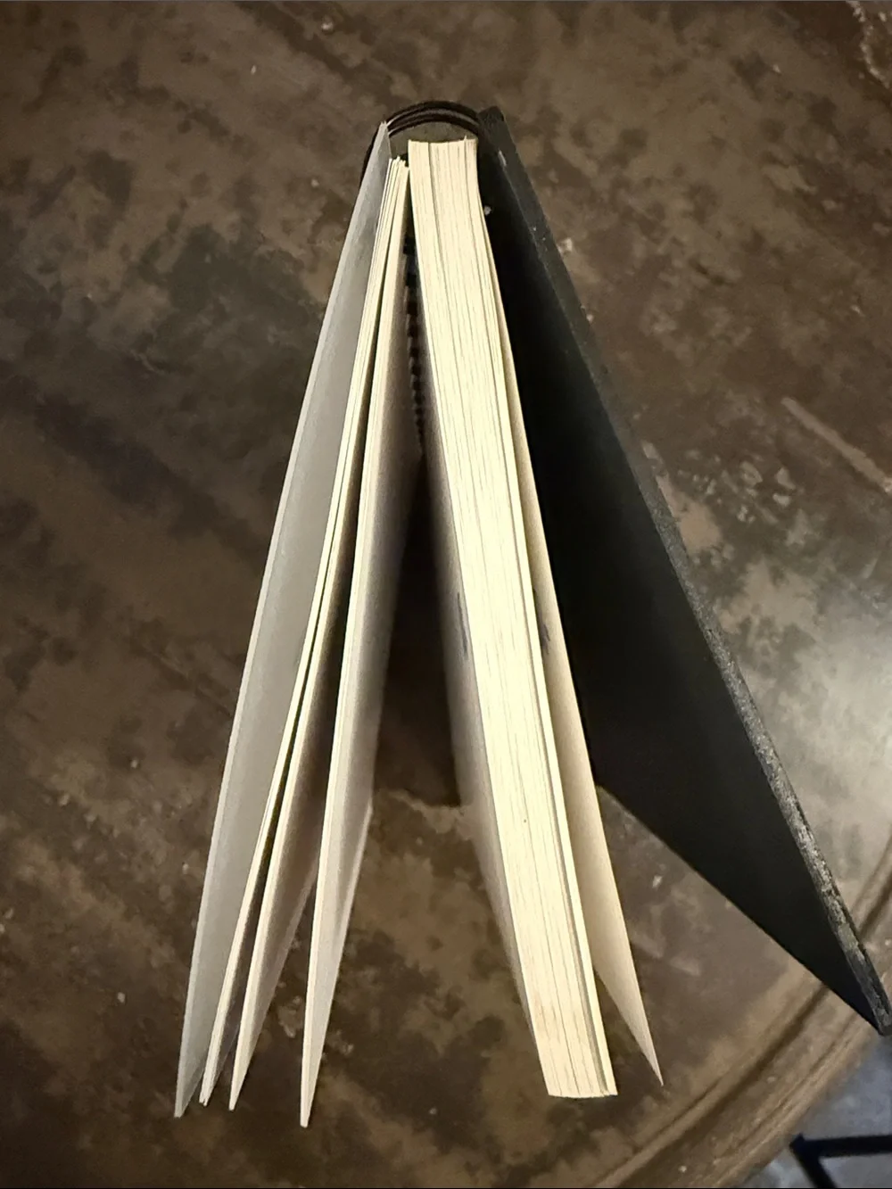 Rare Vintage Apple Internal Training Spiral Notebook Blank Pages + Blue Logo